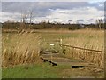 Small footbridge on the Test Way, Lower Test nature reserve in SO40 3QS