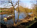 Cruise Boat on the River Wye in HR9 6BL