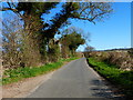 Bighton Road looking east from Stonyland Copse in GU34 5PX