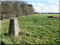 Meadow near Heath Farm with Triangulation Pillar in NG31 9ET