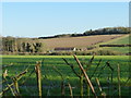 Drayton Farmhouse seen across fields in SO24 9FB