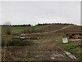 Felled strip wood, Kippet Hill in EH36 5PJ