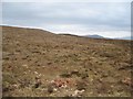 Waternish moorland in IV55 8GW