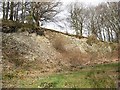 Quarried slope in SY16 4DW