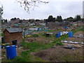 Allotments between Newtown and Osborne Roads in SO31 9FD