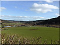 Sheep pasture at Maesdyfnant farm from Glyndwr's Way in SY10 0NL