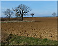 Ploughed farmland near Park Farm in LE15 9AS