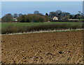 Farmland near the village of Ridlington in LE15 9AS