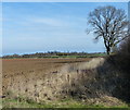 Farmland west of the village of Ridlington in LE15 9AS