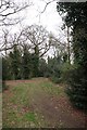 Wooded Path in Wanstead in E11 2EF
