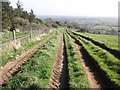 Farm tracks on Loxton Hill in BS26 2XP