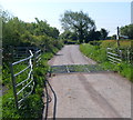 Grid across the road in a Poacher Watch Area on Caldicot Moor in Rogiet Community