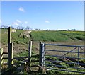 Public footpath to Hold House Farm in NE20 9RL