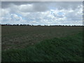 Crop field off Wythes Lane in PE22 0RG