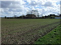 Farmland east of Main Road (A16) in PE22 0TW
