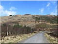 Logging road, Loch Ard Forest in FK8 3TR