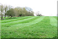 Hay field by Dentonwash Farm in IP20 0AD