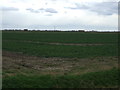 Farmland off Black Drove in PE22 8HF