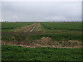 Drain near Fen Farm in PE22 8DR
