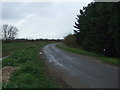 Lane heading north, Fen Side in PE22 8EQ