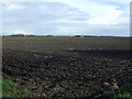 Ploughed field, New Leake in PE22 8JB