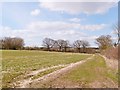 View North-west from St. Peter's Way Footpath in CM2 8UY