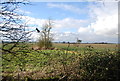 Farmland west of Green Lane in IP6 0RU