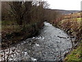 Aman River near the Falcon Inn, Godreaman in CF44 6NY
