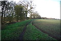 Footpath along field boundary in IP6 0RU