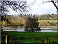 Flooded fields in the Misbourne valley in HP8 4NR