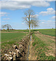 Ditch in fields beside Mundy's Road in IP20 0PD