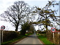 Entering the speed limit on Roe Downs Road in GU34 5LG