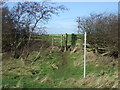 Footpath off the A174 in TS13 4NJ