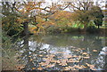 Pond, Blackdown Farm in GU27 3BX