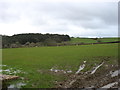 Farmland west of Llangoed in LL58 8PP