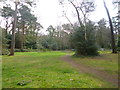 Branksome Park Woods in BH13 6BX