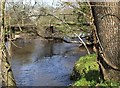 Bridge Crossing the Lymington River, Roydon Woods. in SO41 8PJ