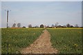 Footpath to Langton in Langton By Wragby