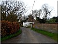 Adwell-copper beech hedge and houses in OX9 7DH