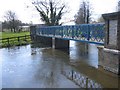 The 'Blue Bridge' on the River Frome in DT2 7SE
