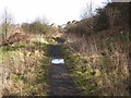 Footpath below North Road, Flint Hill in DH9 8UJ