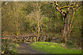 A footbridge in Mason's Wood (The Woodland Trust) in PR2 8WD
