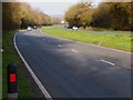 The A31 going east by Reed's Copse in Chawton