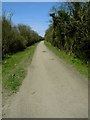 Icknield Way looking NE in LU3 3NH