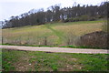 View over The Warren of track to Chazey Wood in RG4 7TQ