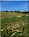 Stile and path to Hattingley in GU34 5PU