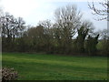Grazing and woodland in NN11 2LZ
