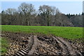 Tracks into field in PO17 6BJ