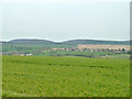 View north-east from Hinton Manor Lane in PO8 0TR