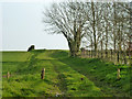 Track south from Sheep Pond Lane in SO32 3QL